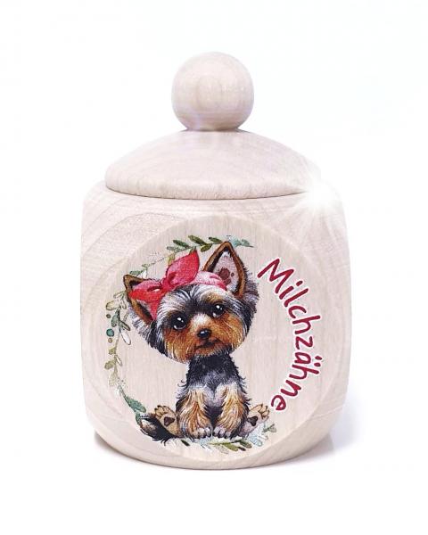 Yorkshire Terrier Mädchen MZD